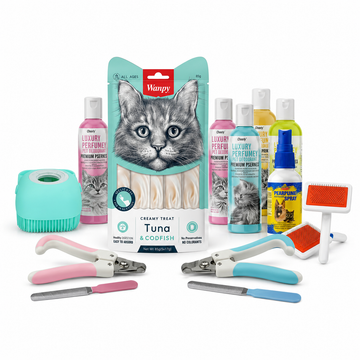 Today Hot Deals