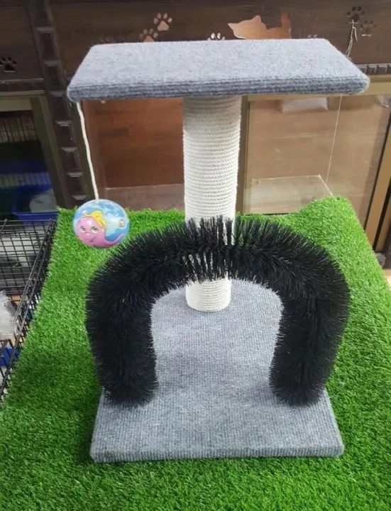 Scratching Post & Arch Shaped Massaging Toy - For Cat