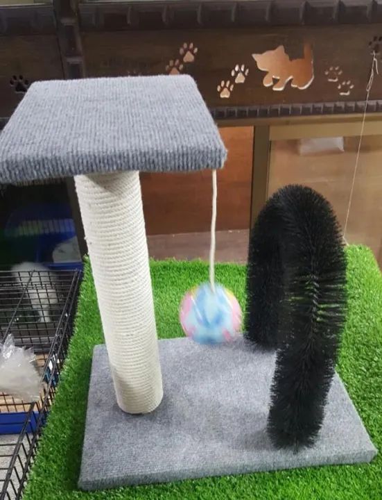 Scratching Post & Arch Shaped Massaging Toy - For Cat