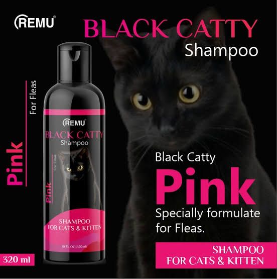 Black Catty Cat Shampoo Blue -120 Ml - 320 ml For Regular Care