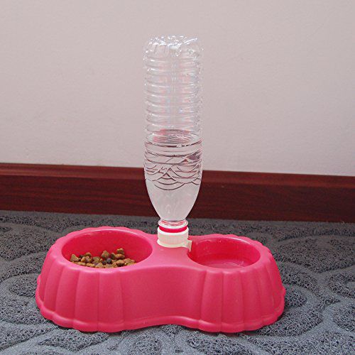 Pumpkin Double Bowl Water Dispenser Non-Slip