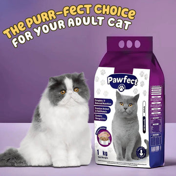 Fluffy Cat Food